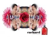 AMOR AMOR - Cacharel